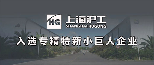 上海hg8868皇冠国际入选国家专精特新“小巨人”企业