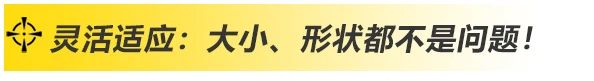 上海hg8868皇冠国际